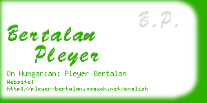 bertalan pleyer business card